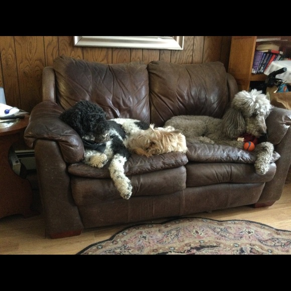 Meet your Posher, Valarie - Picture 2 of 4